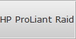 HP ProLiant Raid Server