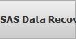 SAS Data Recovery 